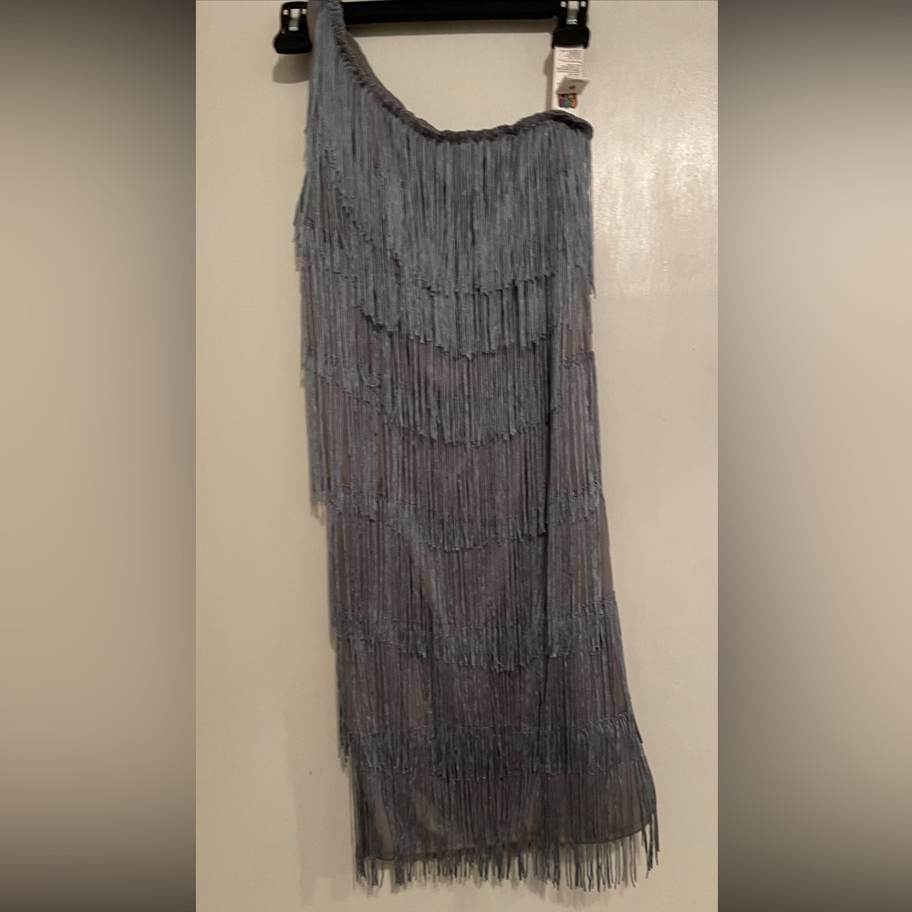 1 sleeve fringe dress, a light blue fringe in light gray fabric. Real cute.